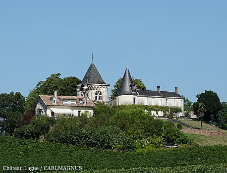 Chteau CARLMAGNUS (Bordeaux) - kultivovan, siln a bohat vno, 100% Merlot!