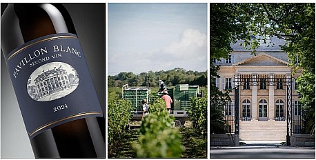 Ch�teau Margaux: v�jime�n� b�l� debut ro�n�ku 2024 � Pavillon Blanc Second Vin 2024