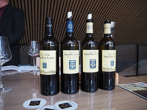 05  EP 2024 / NEWSLETTER Z TOPVINO.CZ