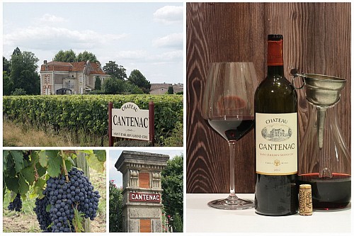 21 / 2026 � NEWSLETTER Z TOPVINO.CZ: V�no t�dne: