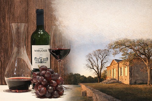 22 / 2026 � NEWSLETTER Z TOPVINO.CZ: V�no t�dne: